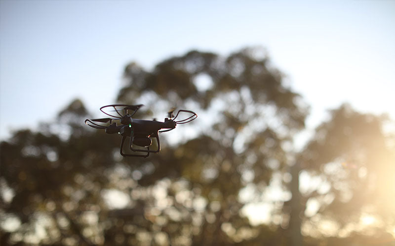 Why Are the SP650 and SP500 the Best Entry-level Drones?